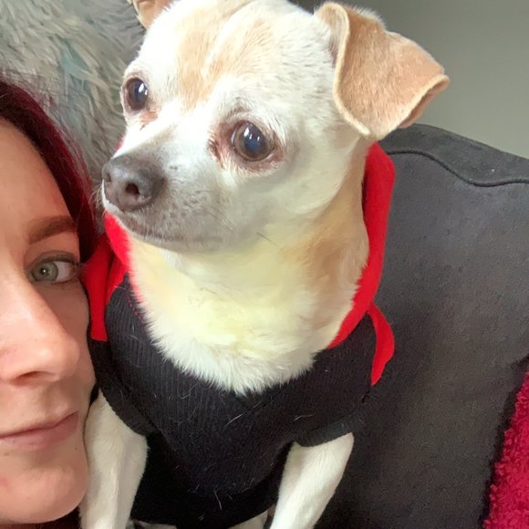 Meet your Posher, Leigh - Picture 5 of 6